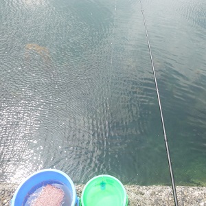 防波堤・堤防・波止のサビキ釣りの釣果がアップする釣り方（ やり方 ）のコツ
