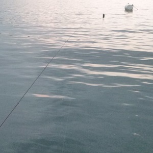 防波堤・堤防・波止のサビキ釣りの釣行プランの立て方